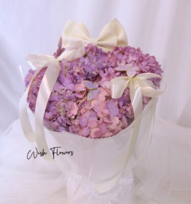 520 Cloud of Lilac